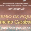 Premio Enoch Cancino 2011